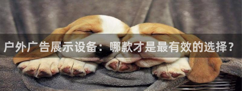 杏宇平台代理怎么赚钱快