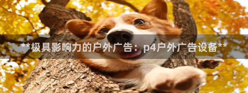 杏宇平台主管