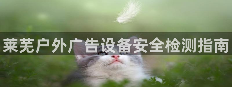 杏宇平台登录步骤图