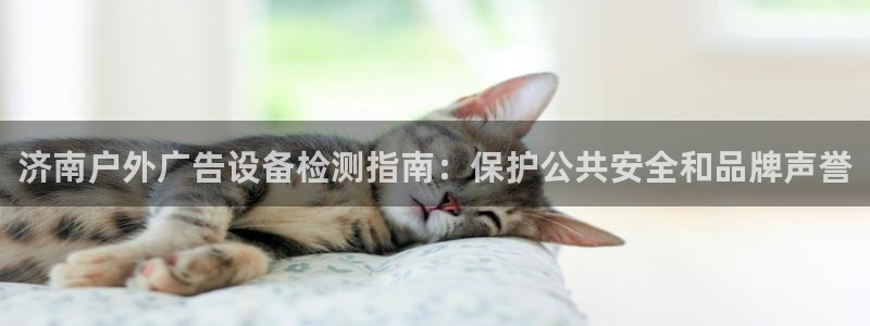 杏宇平台官网注册