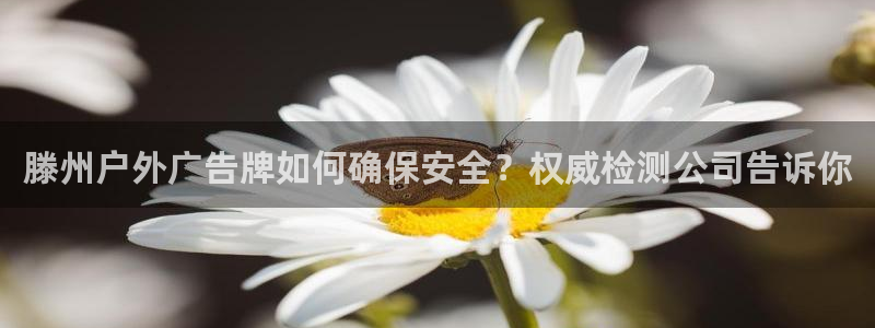 杏宇平台登陆