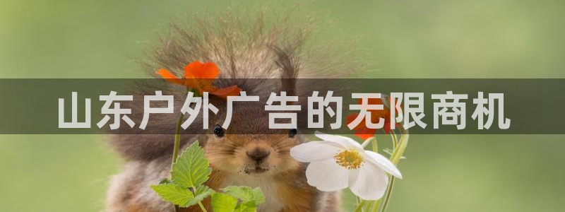 杏宇平台主管