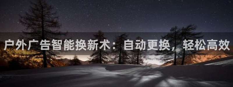 杏宇平台注册登录