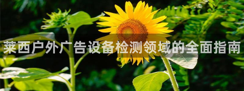杏宇平台主管：莱西户外广告设备检测领域的全面指南