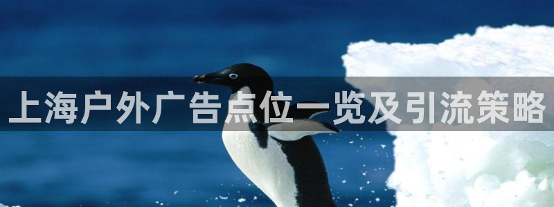 杏宇官方平台官网下载