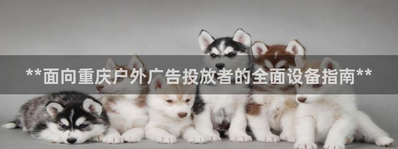 杏宇平台总代理电话：**面向重庆户外广告投放者的全面设备指南**