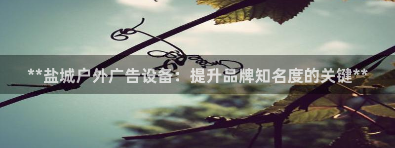 杏宇平台代理多少钱一次：**盐城户外广告设备：提升品牌知名度的关键**