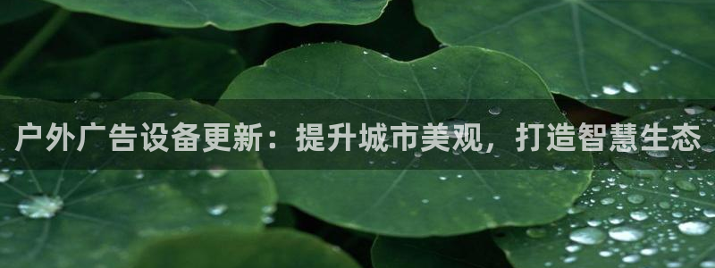 杏宇平台好吗