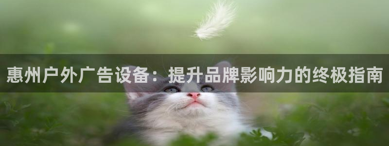 杏宇平台代理多少钱一次：惠州户外广告设备：提升品牌影响力的终极指南