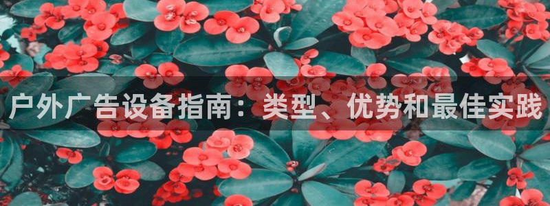 杏宇平台代理怎么赚钱：户外广告设备指南：类型、优势和最佳实践