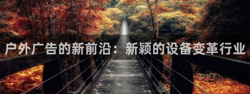 杏宇平台代理怎么样啊