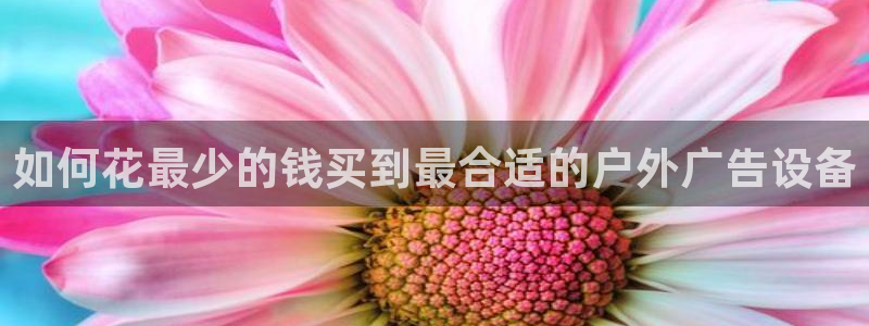 杏宇平台代理多少钱一次