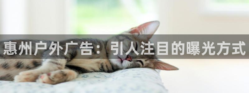 杏宇平台主管