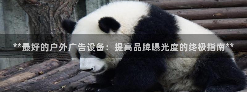 杏宇平台主管