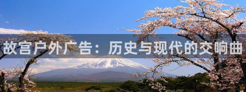 杏宇平台登录方法