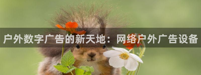 杏宇平台注册地址在哪里