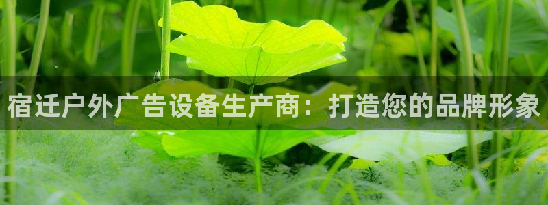 杏宇平台登陆