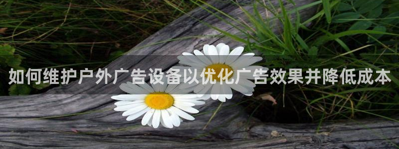 杏宇平台总代理