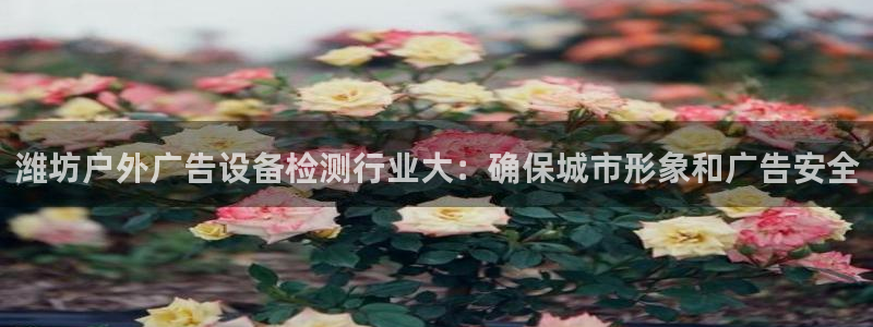 杏宇平台登录步骤图