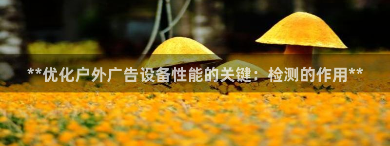 杏宇平台登录步骤是什么