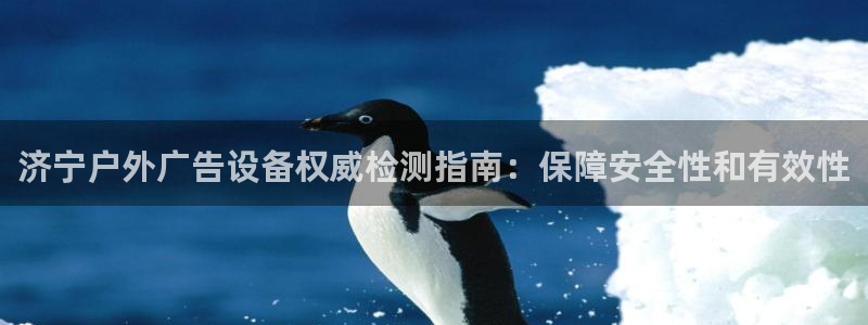 杏宇平台招商电话号码