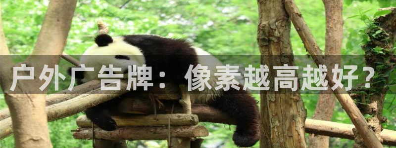 杏宇平台代理怎么赚钱的