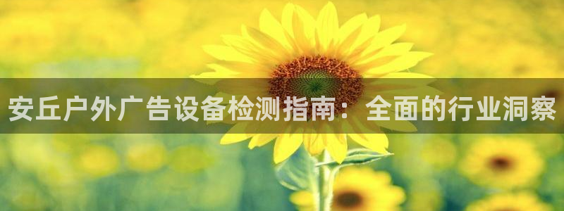 杏宇平台总代理