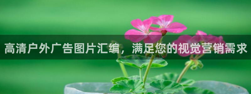 杏宇官方平台官网