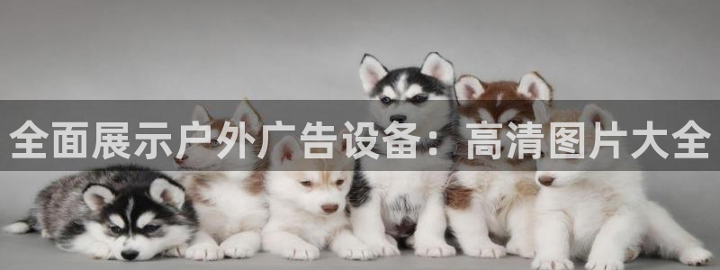 杏宇平台招商电话号码