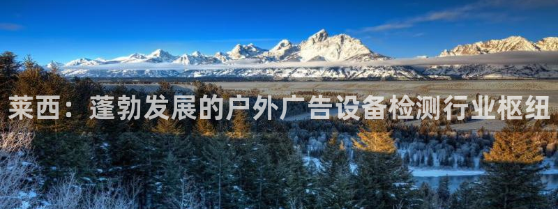 杏宇平台开户