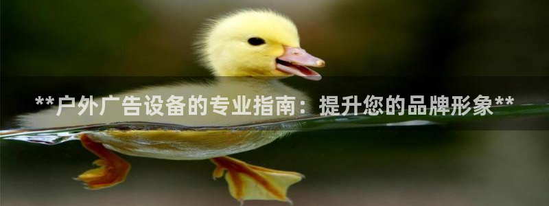 杏宇平台代理怎么样：**户外广告设备的专业指南：提升您的品牌形象**