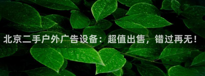 杏宇平台总代理电话