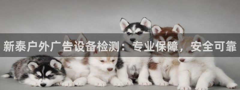 杏宇平台登录步骤是什么