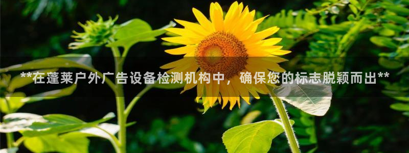 杏宇平台代理怎么样可靠吗：**在蓬莱户外广告设备检测机构中，确保您的标志脱颖而出**