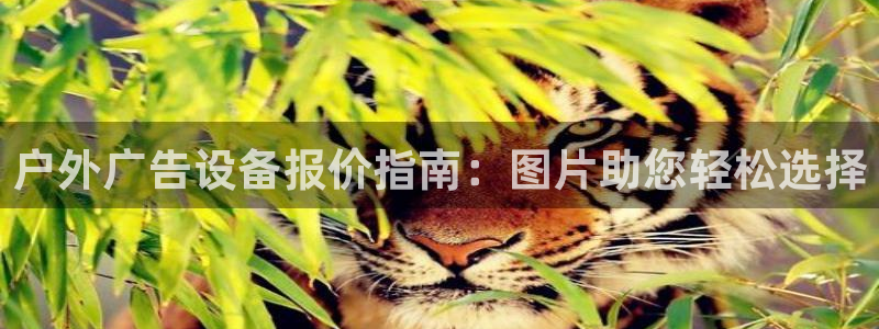 杏宇平台代理怎么赚钱