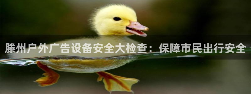 杏宇平台官网注册