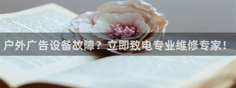 杏宇平台代理多少钱一个月