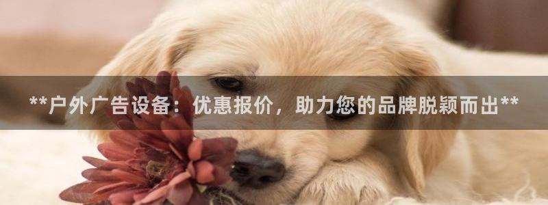 杏宇官方平台官网下载：**户外广告设备：优惠报价，助力您的品牌脱颖而出**