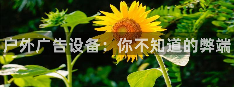 杏宇平台登录步骤是什么