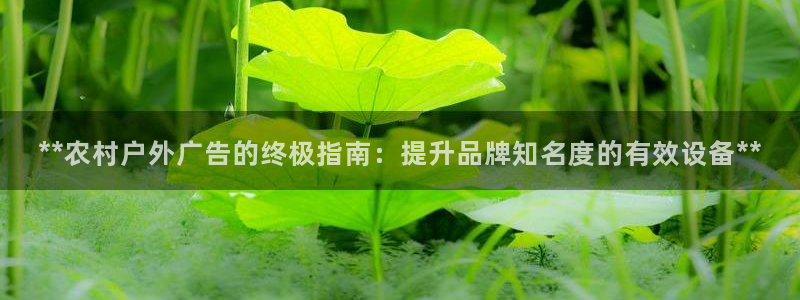 杏宇平台注册登录：**农村户外广告的终极指南：提升品牌知名度的有效设备**