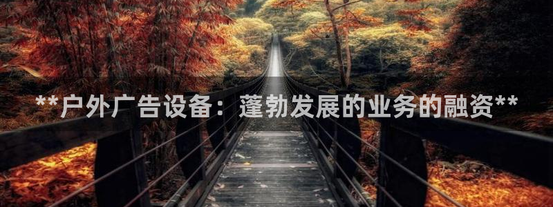 杏宇平台提现为什么这么久呢：**户外广告设备：蓬勃发展的业务的融资**