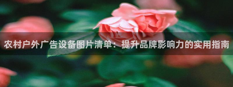 杏宇平台代理多少钱一次：农村户外广告设备图片清单：提升品牌影响力的实用指南