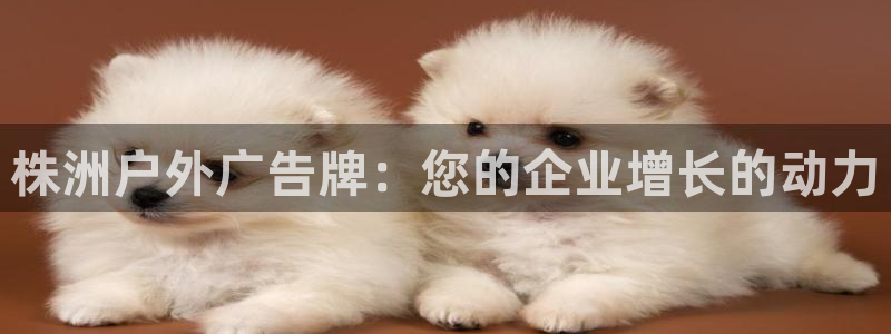 杏宇平台注册地址在哪里：株洲户外广告牌：您的企业增长的动力