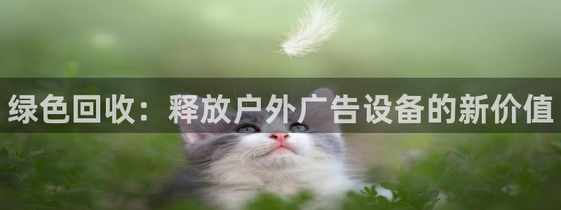 杏宇平台怎么样知乎