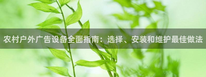 杏宇平台注册登录：农村户外广告设备全面指南：选择、安装和维护最佳做法