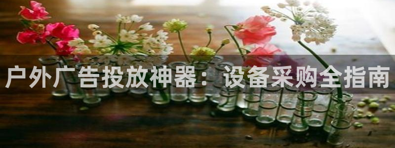 杏宇平台总代理电话