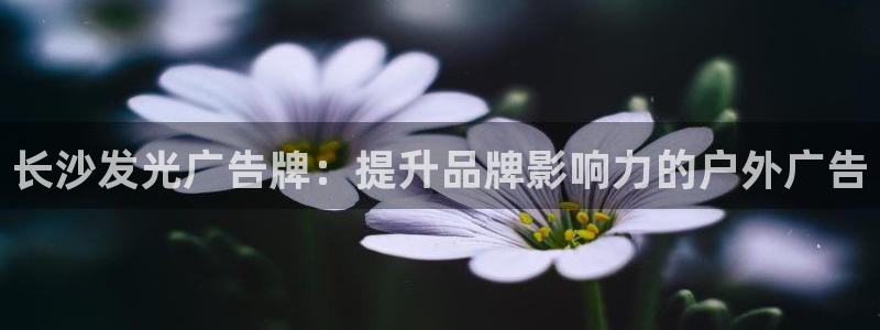杏宇平台代理怎么样