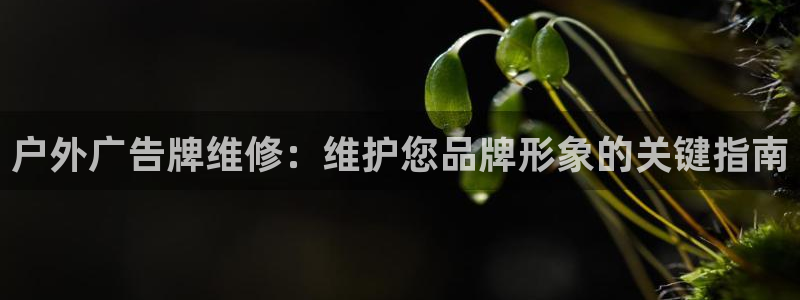 杏宇平台登录步骤