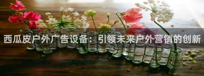 杏宇平台代理怎么样啊：西瓜皮户外广告设备：引领未来户外营销的创新