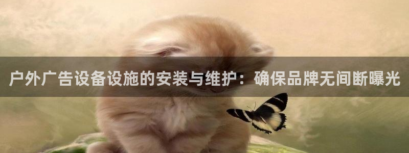 杏宇平台总代理电话：户外广告设备设施的安装与维护：确保品牌无间断曝光